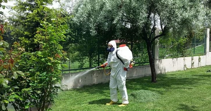 Fare Kemirgen İlaçlama Bursa